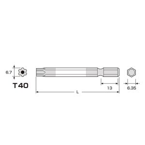 Mui vit dau hoa thi co lo T40 ANEX ACTX 4065 Mũi vít đầu hoa thị có lỗ T40 ANEX ACTX-4065
